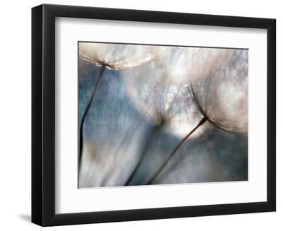 Carefree - Black Framed Art Print Wall Art, 12x9