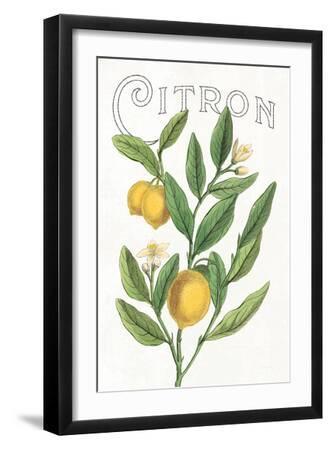 Classic Citrus V v2 - Black Framed Art Print Wall Art, 12x18