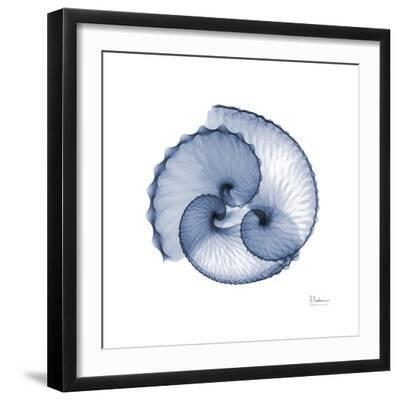 Indigo Sea Shells - Black Framed Art Print Wall Art, 16x16