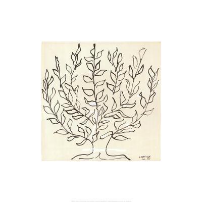 Le Platane - Wall Art Print, 20x20