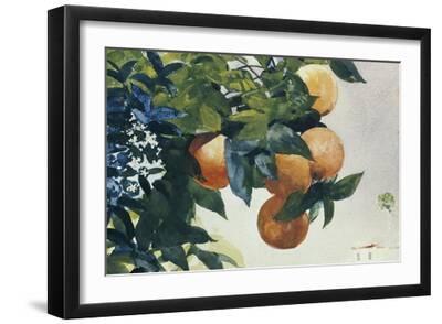 Oranges on a Branch, 1885 - Black Framed Art Print Wall Art, 18x12