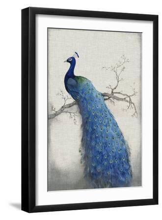 Peacock Blue II - Black Framed Art Print Wall Art, 12x18