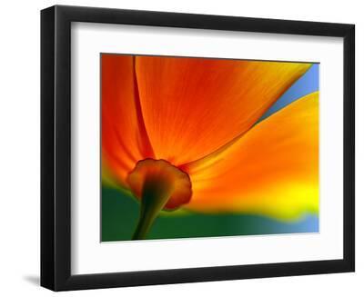 Summer - Black Framed Art Print Wall Art, 12x9